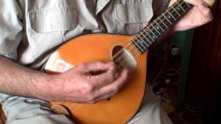 Sobell Mandolin The Jug of Punch  Eddie Kellys [upl. by Kali]