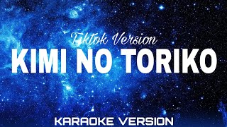 Kimi No Toriko Karaoke Version  Tiktok Version [upl. by Rosinski]