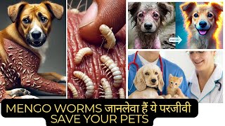 quotडॉग्स को Mango Worm Infestation से बचने के टिप्स और TreatmentquotDog wellness Tipsquot [upl. by Allcot874]