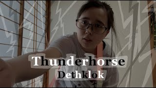 Dethklok  Thunderhorse Guitar Cover [upl. by Hakeber]