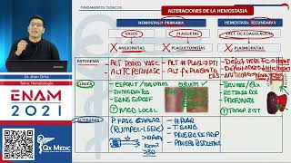 TEORIA II  HEMATOLOGÍA [upl. by Akiret]