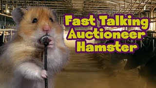 Jokes for Kids Fast Talking Cattle Auctioneer The Mack Cheeze Show [upl. by Oigolue785]