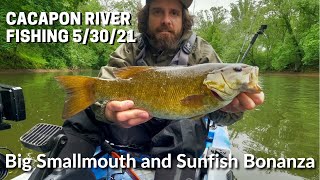 Cacapon River Smallmouth and Sunfish Fishing 53021 [upl. by Goto]