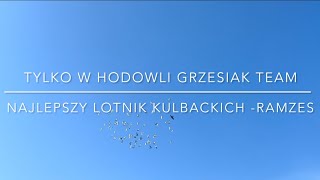 Białogard 500 km 3616212223…🏆⬆️ 1 pozycja w ogólnej klasyfikacji Grzesiak team natural [upl. by Zelazny]