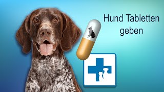 Wie gebe ich dem Hund Tabletten und Medikamente [upl. by Ahsyad346]