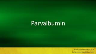 Pronunciation of the words quotParvalbuminquot [upl. by Vharat532]