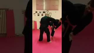 WSDA AREZZO COMBATJUTSU TECNICHE DI REAL AIKIDOMAESTRO 6° DAN LUCIO PICCIOLI [upl. by Warford]