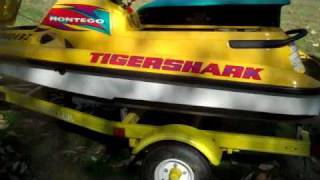 Winterize Tiger Shark Jet Skis Part 1 [upl. by Nnylanna]