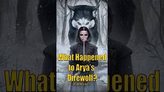 What happened to Nymeria Game of Thrones House of the Dragon ASOIAF Lore [upl. by Eimat]