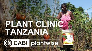 Plantwise plant clinic  Tanzania [upl. by Airelav]