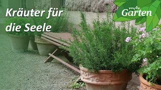 Kräuter für die Seele Heilkräuter zum Stressabbau  MDR Garten [upl. by Eimia84]