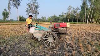 I am fertilizing the land for planting gourds by plowing with power tiller machine । [upl. by Ynabe294]