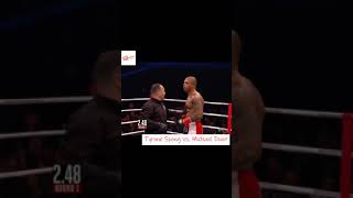 One shot Knockout Tyrone Spong vs Michael Duut [upl. by Hyman]