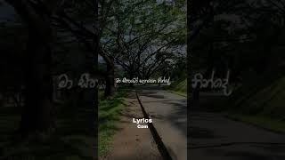 මා ළඟටම තව ළංවෙලා 🥺❤️ Ma Lagatama Thawa Lan Wela Whatsapp Status Video love song shorts status [upl. by Hcurab]