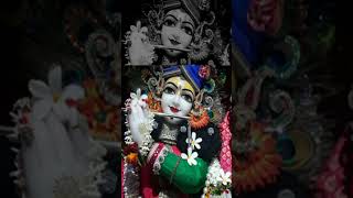 Krishna ki shuddhi ll [upl. by Yvonne426]