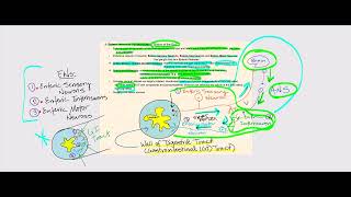 Lecture Video 1 Autonomic Nervous System ANS [upl. by Atnes]