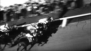 C S Howards wonder horse Seabiscuit wins the richest Santa Anita Handicap RaHD Stock Footage [upl. by Leopoldine654]