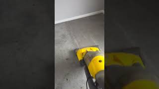 carpet vacuuming before professional steam cleaning [upl. by Herminia56]