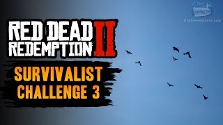 Red Dead Redemption 2 Survivalist Challenge 3 Guide  Kill 5 animals using a Varmint Rifle [upl. by Kendal418]