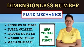 Dimensionless Number in Fluid Mechanics  Lamiya Naseem [upl. by Kal]