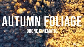 Autumn 4K  Foliage Nature Short by Drone DJI [upl. by Lani]