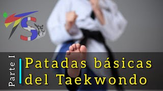 PATADAS BASICAS DEL TAEKWONDO PARTE 13 [upl. by Lleryt]