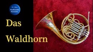 Waldhorn  Instrumentenvorstellung [upl. by Auqenwahs]