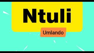 Imvelaphi yakwa Ntuli Sihlaziya umlando ❤️ Ntuli Surname History [upl. by Atnohsal]