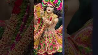 Deewana Radha ka banke Bihari Radhe Radhe Vrindavan trending viral video song [upl. by Parik870]