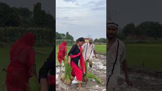 Jai Javan jai Kisan 🇮🇳shorts emotional motivation vijaykumarviner [upl. by Airdnahc]