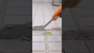 Porcelain Tile VS Ceramic Tile What’s the Difference [upl. by Virgie354]