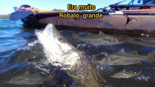 Pesca sub cardume de Robalo e peixe Paru  Enxada  SPEARFISHING BRAZIL [upl. by Christye]