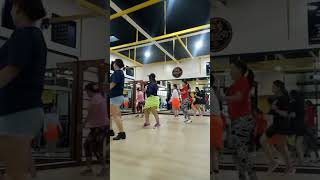 Linting Daun Line Dance 💃💃💃  Wall 4 Count 32  Beginner Level [upl. by Baggott]