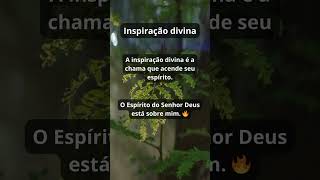 33 Inspiração divina A inspiração divina é a chama que acende seu espírito motivaçãobíblica [upl. by Studnia]