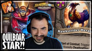 HAWKSTRIDER IS A QUILBOAR STAR  Hearthstone Battlegrounds [upl. by Evod]