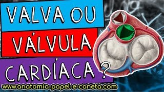 Valvas cardíacas  BICÚSPIDE TRICÚSPIDE MITRAL ÁTRIOVENTRICULAR SEMILUNARES [upl. by Adrell]