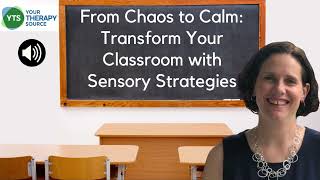 Sensory Strategies for the Classroom [upl. by Forcier303]