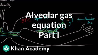 Alveolar gas equation  part 1  Respiratory system physiology  NCLEXRN  Khan Academy [upl. by Ariec]