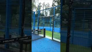 Controversial Padel Tennis Rule Who Wins the Point Part 2 🤔  Lets Discuss  padel padeltennis [upl. by Aihset]