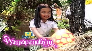 Wansapanataym Hungry Birds Full Episode  YeY Superview [upl. by Podvin]