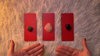 ASMR Timeless Tarot Reading Pick a Pile 🌻🐈‍⬛ [upl. by Kancler]