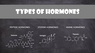 Types of Hormones  Human Physiology [upl. by Valentia]