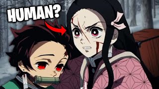 WHAT IF Nezuko becomes DEMON SLAYER [upl. by Naoma71]