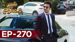 ShajareMamnu  Episode 270  Turkish Drama  Forbidden Fruit  Urdu Dubbing  22 December 2021 [upl. by Enilauqcaj]