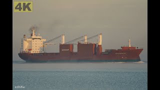 SPUIGRACHT  Shipspotting Germany 🇩🇪 IMO 9202534  River Elbe near City Otterndorf  4K VIDEO [upl. by Aseret]