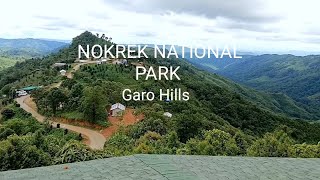 Nokrek National Park Daribok Garo hills Meghalaya [upl. by Ytima799]