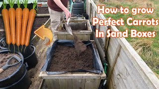 How to Grow Fantastic Carrots in Sand Boxes [upl. by Yekciv263]