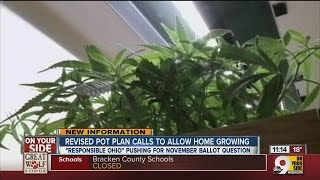 Marijuana in Ohio [upl. by Demetrius]