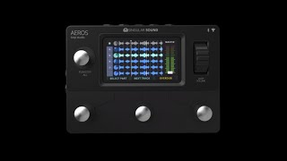 Aeros Loop Studio La fonction MUTE TRACK FR [upl. by Bernadene]