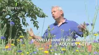 Calendrier du jardinier août  que faire au jardin ou sur la terrasse  Truffaut [upl. by Sella]